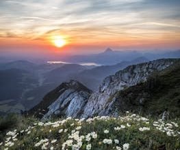 A stunning sunrise view over a rocky mountain landscape with wildflowers in bloom.