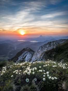 A stunning sunrise view over a rocky mountain landscape with wildflowers in bloom.