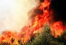 A forest fire with dramatic flames in Demre, Türkiye highlighting environmental concerns.